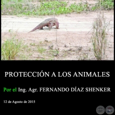 PROTECCIN A LOS ANIMALES - Ing. Agr. FERNANDO DAZ SHENKER -  12 de Agosto de 2015